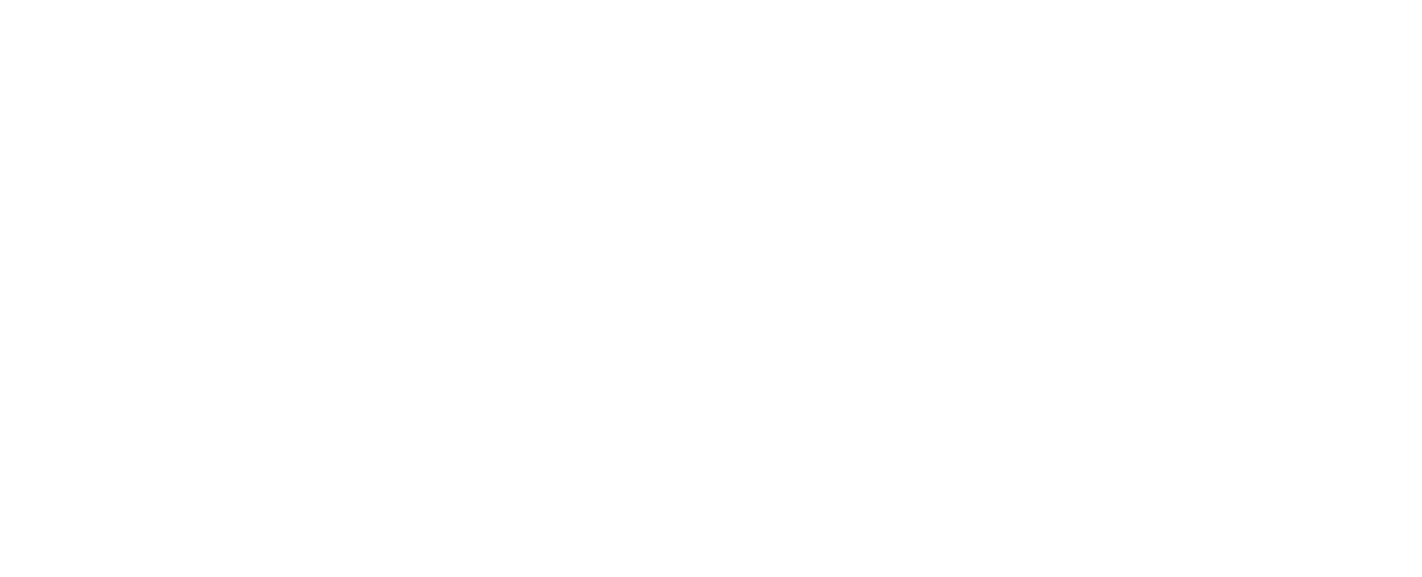 hakata express
